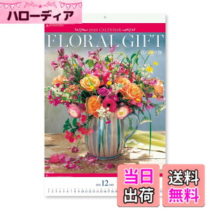 �y���������z�V���{�J�����_�[ �� �F�FNK408