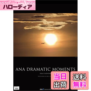 �y���������zANA�uDRAMATIC MOMENTS�v 2026�N �J�����_�[ �Ǌ|�� CL26-1163