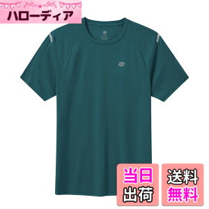 �y���������z[MoFiz] T�V���c �����Y ���� �傫���T�C�Y ���g���[�j���O�E�F�A �g���[�i�[ �ێ� UV�J�b�g �z������ �F�F�O���[���A�T�C�Y�F4L
