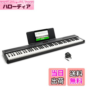 �y���������zAlesis �d�q�s�A�m 88���� Recital Play & Recital Black �F�F�P�i�A�u���b�N�A�T�C�Y�F�P�i