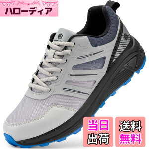 �y���������z[FitVille] �g���C�������j���O�V���[�Y �����Y ���L 2E 4E �n�C�L���O�V���[�Y �y�� �ʋC�� �X�j�[�J�[ ���@�\ �o�R �F�F�O���[�A�T�C�Y�F29.5 cm 4E
