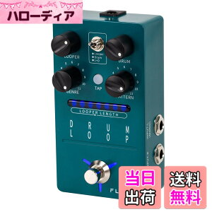 �y���������zFLAMMA Guitar Pedals Reverb Delay Modulation Preamp Cabinet Simulation Digital Stereo Electric Guitar Pedal �F�FFS01 Drum Loop