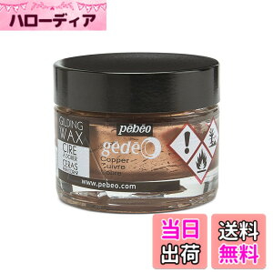 �y���������z�M���f�B���O���b�N�X SURFACE_PROTECTION_WAX �F�F�R�b�p�[
