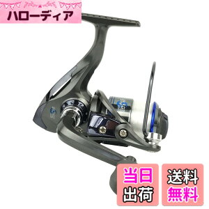 �y���������z���C�Y�E�F�C(Riseway) ���t���X�s�j���O���[�� STORM(�X�g�[��) �e�� �T�C�Y�F2000