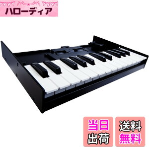 �y���������z���[�����h Keyboard Unit K-25M Roland Roland Boutique�V���[�Y��p �L�[�{�[�h �F�F�u���b�N
