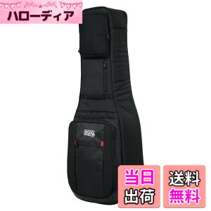 �y���������zGATOR �Q�[�^�[ �M�O�o�b�O Pro-Go Series ���C���J�o�[�t�� G-PG �y�������K�i�z �F�F�u���b�N�A�T�C�Y�FG-PG-GTR