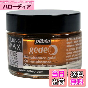 �y���������z�M���f�B���O���b�N�X SURFACE_PROTECTION_WAX �F�F���l�b�T���X�S�[���h