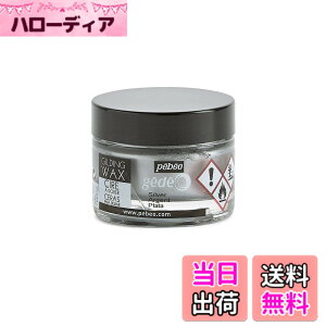 �y���������z�M���f�B���O���b�N�X SURFACE_PROTECTION_WAX �F�F�V���o�[