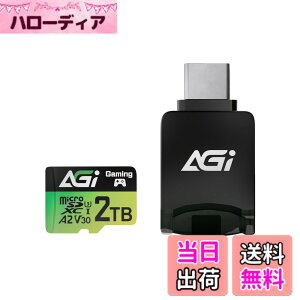 �y���������zAGI TF138 Micro SDXC�J�[�h �F�F�O���[���A�T�C�Y�F2TB