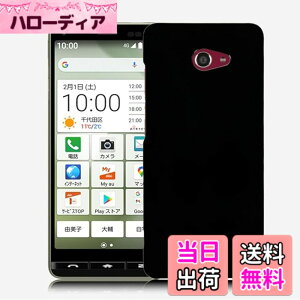 �y���������z�Ή� AQUOS wish3 �P�[�X+ �K���X�t�B���� �ی�t�B���� �ώw�� ������ ���˒ጸ ��U�h�~�����_�� TPU �J�o�[ �S���� �U�M���H ���ς��ɂ��� �T�C�Y�Fkyv47 t2tpu lrd