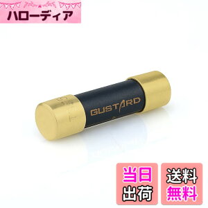 �y���������zGUSTARD HIFI�����p�q���[�Y �i�m�����n�C�G���h�q���[�Y X18/U16/U18/C16/C18/X16/A18/H16/N18/N18PRO�ɑΉ� 630mA gustard�q���[�Y fuse 630mA �T�C�Y�F630mA