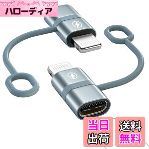 �y���������zType C to ���C�g�j���O �ϊ��A�_�v�^(2�Z�b�g)36W PD�}���[�d PD�`�b�v���� Type-c �ϊ��A�_�v�^, USB-C i-Phone �ϊ��R�l�N�^ �A���~�����O�� �V���R���o���h�݌v�^�C�vC����iOS�ϊ��RiP