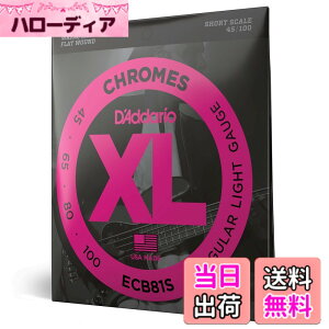 �y���������zD'Addario �_�_���I �G���L�x�[�X�� �t���b�g���E���h (���K�A���i) �F�F4���A�T�C�Y�F.045-.100 (Short)