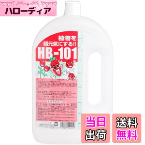 �y���������z�t���[�� �A�����͍� HB-101 ���t �F�F���F�A�T�C�Y�F4) 1L