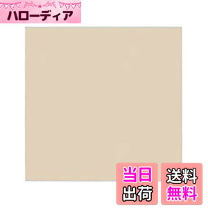 �y���������z�J�o�[�v���[�g(��t�g�t) WALL_PLATE �F�F�x�[�W���A�T�C�Y�F2�A�p