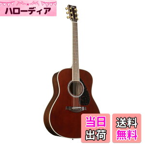 �y���������z���}�n YAMAHA �A�R�[�X�e�B�b�N�M�^�[ LL6 ARE �F�F�_�[�N�e�B���e�b�h(DT)