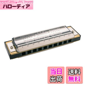 �y���������zHOHNER �z�[�i�[ �n�[���j�J Big River Harp �r�b�O���o�[�y�������K�i�z �F�F�V���o�[/�u���b�N