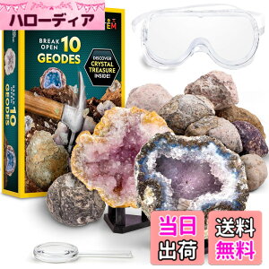 �y���������zNATIONAL GEOGRAPHIC Break Open Geodes�T�C�G���X�L�b�g �| �S�[�O���A�ڍׂȊw�K�K�C�h�A�f�B�X�v���C�X�^���h�t�� - ������N��̍z���w��n���w���D�ƂɍœK��STEM�T�C�G���X�M�t�g