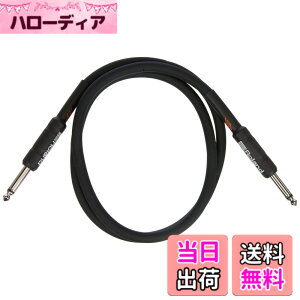 �y���������zRoland ���[�����h RIC-B �y��p�P�[�u�� �V�[���h TS�t�H��(�X�g���[�g)-TS�t�H��(�X�g���[�g) �T�C�Y�F1m