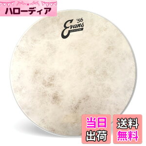 �y���������zEVANS �G���@���X �h�����w�b�h `56 Calftone Tom �y�������K�i�z �T�C�Y�F15