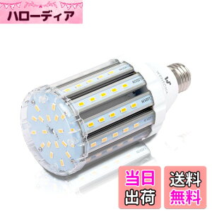�y���������zlow watt led light bulbs �F�F25W WW�A�T�C�Y�F25W