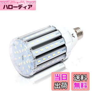 �y���������zlow watt led light bulbs �F�F25W CW�A�T�C�Y�F25W