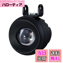 楽天市場】piaa 1100pの通販