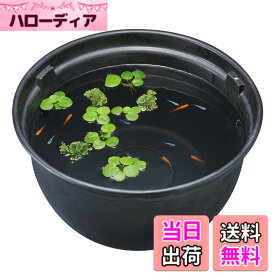 【送料無料】GEX メダカ元気 メダカのための飼育鉢 色：黒、サイズ：水容量:約12L