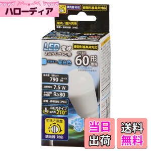 �y���������zLED �����Ή� G11+H11 �F�F�����F�A�T�C�Y�F81.5x35mm