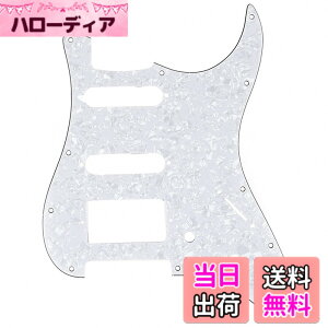 �y���������zMusiclily Pro 11�� SSH �A�����J���X�g���g�L���X�^�[�M�^�[�p�s�b�N�K�[�h �F�F�z���C�g�p�[��