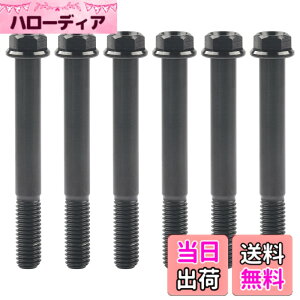 �y���������zRuifu M8x15 20 25 30 35 40 45 50 55 60 65mm �I�[�g�o�C ���������t�����W �Z�p�{���g �s�b�` 1.25mm 6���� �F�F�u���b�N�A�T�C�Y�FM8x65mm