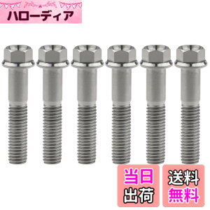 �y���������zRuifu M8x15 20 25 30 35 40 45 50 55 60 65mm �I�[�g�o�C ���������t�����W �Z�p�{���g �s�b�` 1.25mm 6���� �F�F�`�^���A�T�C�Y�FM8x40mm