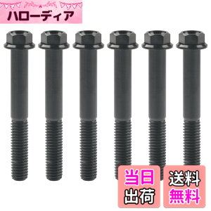 �y���������zRuifu M8x15 20 25 30 35 40 45 50 55 60 65mm �I�[�g�o�C ���������t�����W �Z�p�{���g �s�b�` 1.25mm 6���� �F�F�u���b�N�A�T�C�Y�FM8x60mm