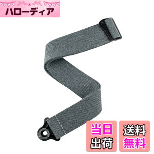 �y���������zD'Addario �_�_���I �M�^�[�X�g���b�v Autolock Strap 50BAL Padded �y�������K�i�z �F�FSkater Grey�A�T�C�Y�F2.5 inches x 55 inches x 0.5 inches