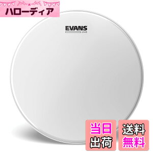�y���������zEVANS �G���@���X �h�����w�b�h UV2 CTD �T�C�Y�F14