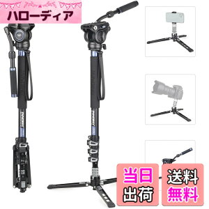 �y���������zINNOREL VM70 Series �_��t�� ���m�|�b�h �X�^���h �A���~ ��r �r�f�I �B�e�p ���O�r �ώ� �F�FVM70K�Z�b�g�A�T�C�Y�FL