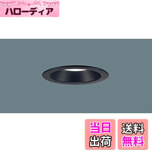 �y���������z�x�[�X�_�E�����C�g(LED�����s��) ������100 �F�F�����F5000K�ERa83�A�T�C�Y�F�W��60�`����
