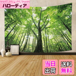 �y���������zTSW03287tapestry �F�F�O���[���A�T�C�Y�F����150 cm x ��100 cm