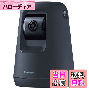 �y���������z�p�i�\�j�b�N WWA�Ή� �����J���� SECURITY_CAMERA �F�F�u���b�N
