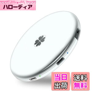 �y���������zApple�F�� (MFI�擾) �t���b�V���h���C�u iPhone USB������ iOS USB�������R�l�N�^�t�� iPhone X XS MAX iPad iPod touch�ȂǑΉ� �e�ʕs������ �F�F�V���o�[�O���[�A�T�C�Y�FSSD 1TB