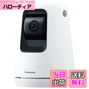�y���������z�p�i�\�j�b�N WWA�Ή� �����J���� SECURITY_CAMERA �F�F�z���C�g�A�T�C�Y�F1�� (x 1)