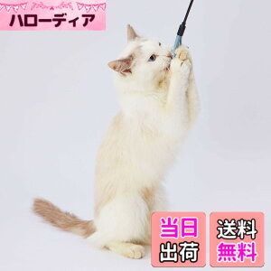 �y���������znecoco ���U�[�L����炵 �F�F�}���`�J���[�A�T�C�Y�FM