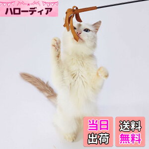 �y���������znecoco ���U�[�L����炵 �F�F�}���`�J���[�A�T�C�Y�FM