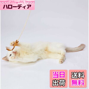 �y���������znecoco ���U�[�L����炵 �F�F�}���`�J���[�A�T�C�Y�FM