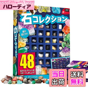 �y���������zXXTOYS �z�ΕW�{48�� �i�V���i���W�I�O���t�B�b�N�V�R�z�� ��΂������� ��ΕW�{ �N���X�}�X �v���[���g ���b�N���~�l���� �R���N�V���� �W�F���X�g�[�� �n���Ȋw�L�b�g 48�Z