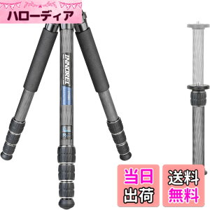 �y���������zINNOREL CT-�V���[�Y �J�����O�r �J�[�{���O�r ��჌�t�O�r �F�F�O�r�̂݁A�T�C�Y�FCT85C