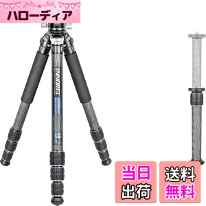 �y���������zINNOREL CT-�V���[�Y �J�����O�r �J�[�{���O�r ��჌�t�O�r �F�F�O�r�Ɖ_��L�b�g�A�T�C�Y�FCT75C