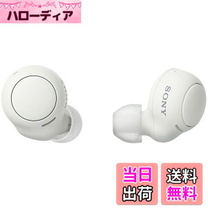 �y���������z�\�j�[(SONY) ���S���C�����X�C���z�� WF-C500/WF-C510 :/�����x�ʘb�i��/IPX4�h�H���\ �F�F�z���C�g�A�T�C�Y�F�����^