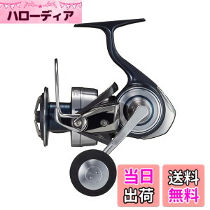 �y���������z�_�C��(DAIWA) �X�s�j���O���[�� 21�Z���e�[�g SW 5000~6000�T�C�Y �W�M���O/�L���X�e�B���O/�V���A�W�M���O (2021���f��) �F�F��, �O���[�A�T�C�Y�F6000