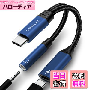 �y���������zLAMSCAT 2in1 �^�C�vC �C���z���ϊ� �A�_�v�^ PD 60W�}���[�d Type-C �C���z���W���b�N �[�d�A�_�v�^ ��҃P�[�u�� �[�d���Ȃ��� �ʘb ���ʒ��� �|�[�^�u�� iPad pro Google Pixel Xperia Samsung G